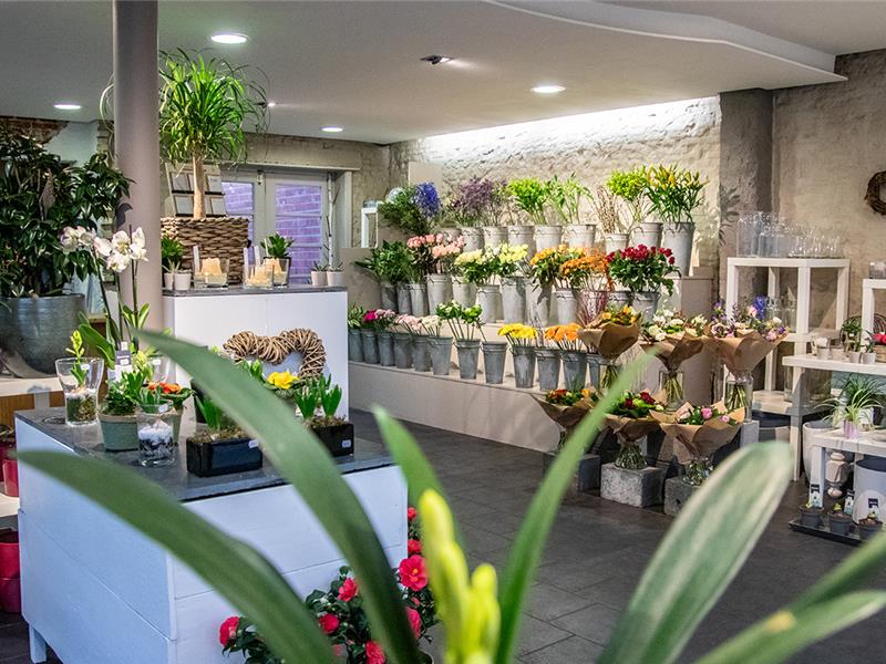 Ruim aanbod boeketten, bloemstukken en planten bij Den Bloeme Winkel