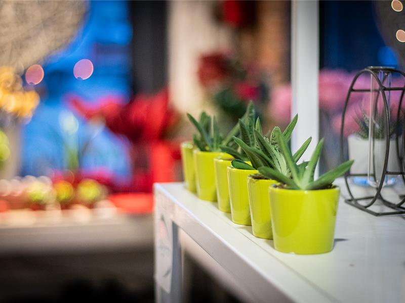 Altijd welkom voor een bezoekje aan Den Bloeme Winkel.